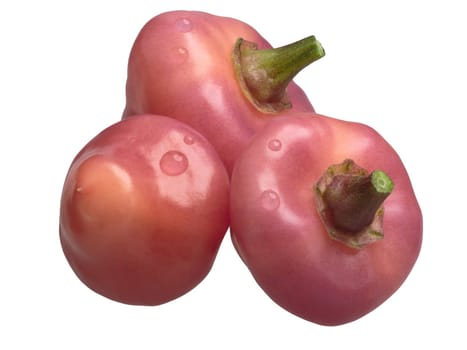 Cheiro Roxa chile peppers (Capsicum chinense), ripe pods. Clipping path