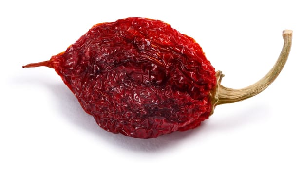 Dried Habanero (Capsicum chinense) chile pepper, whole pod. Clipping paths, shadows separated