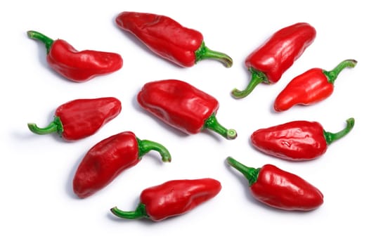 Basque Gorria Espelette-type chile peppers, short pods (C. annuum), top view. Clipping paths, shadows separated