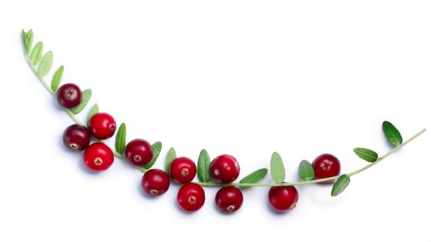 Cranberries (fruits of Vaccinium oxycoccus) with leaves, top view. Clipping paths, shadow separated