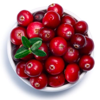 Cranberry (fruits of Vaccinium oxycoccus), bowl of, top view. Clipping paths, shadow separated