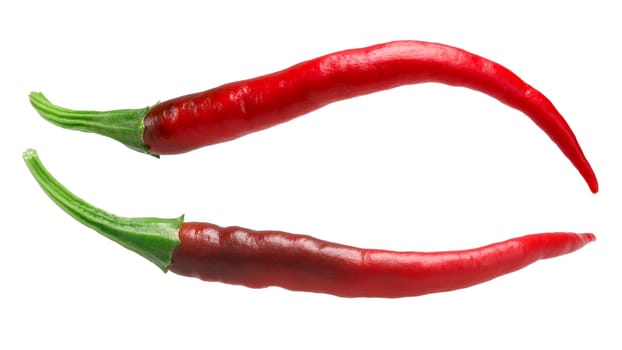 De Arbol chile peppers (Capsicum annuum), red ripe. Clipping paths, shadowless