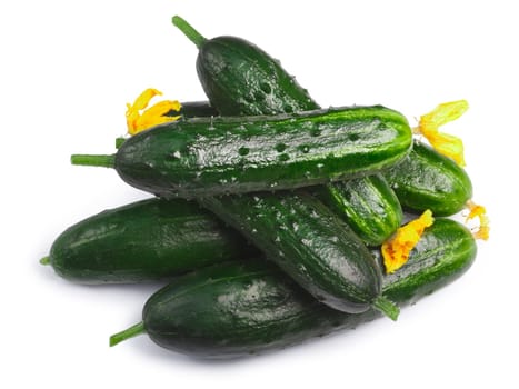 Pile of fresh tiny cucumbers or gherkins (Cucumis sativus), top view. Clipping paths, shadow separated