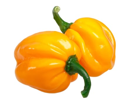 Numex Suave Orange chile peppers (Capsicum chinense, Habanero type). Clipping path