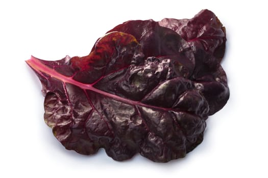 Leaves of ruby Swiss chard or Mangold (Beta vulgaris subsp. Cicla-Group). Clipping paths, shadows separated, top view, focus on foreground leaf