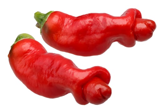 Peter or Penis Pepper (Capsicum annuum). Clipping paths for each