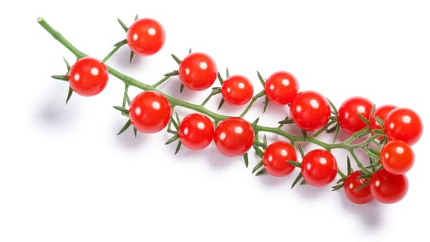 Currant sweet pea tomatoes (Solanum pimpinellifolium) cluster. Clipping paths, shadow separated, top view