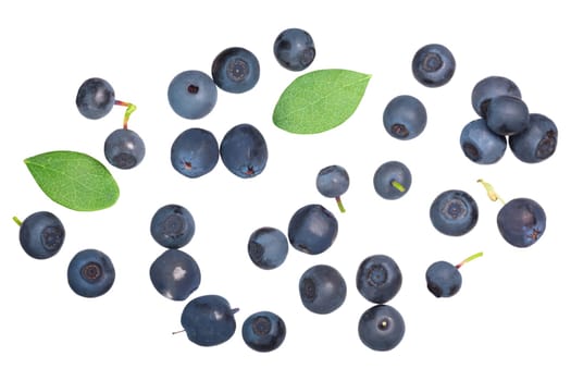 Foraged wild bilberries and blueberries (Vaccinium myrtillus fruits), top view