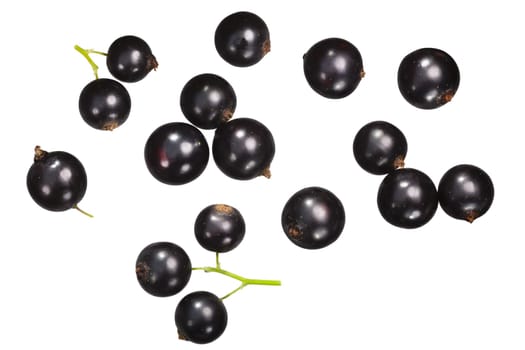 Blackcurrant (berries of Ribes nigrum), top view