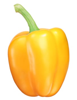 Golden California Wonder sweet bell pepper (Capsicum annuum), whole pod