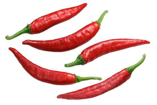 Mexican Guajillo chile peppers (Capsicum annuum), top view
