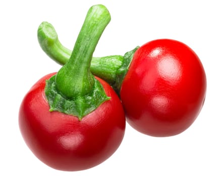 Koral Hungarian Cherry Peppers (Cseresznye Paprika), Capsicum annuum var. cerasiforme