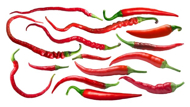 Cayenne type chile peppers, different varieties. Clipping path for each