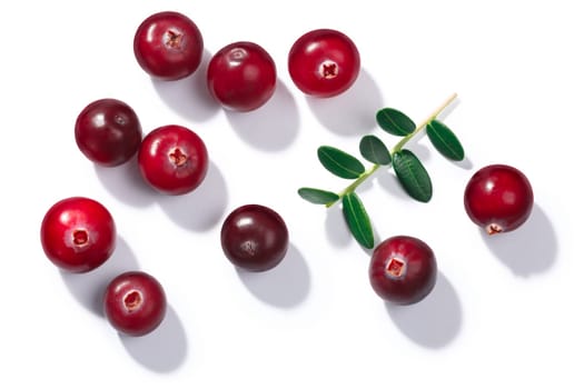 Cranberries (Vaccinium oxycoccus), top view. Direct hard light