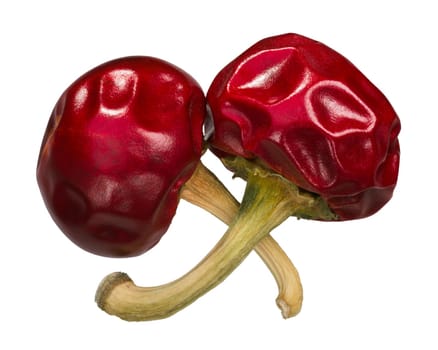 Dried cherry peppers (Capsicum annuum), whole pods, top view