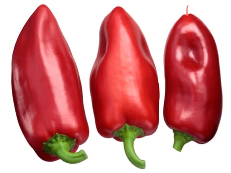 Red bell peppers Grueso de Plaza, a Spanish heirloom, fresh, whole pods, top view