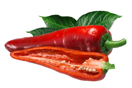 Dulce Italiano sweet chile pepper (Capsicum annuum). Clipping path