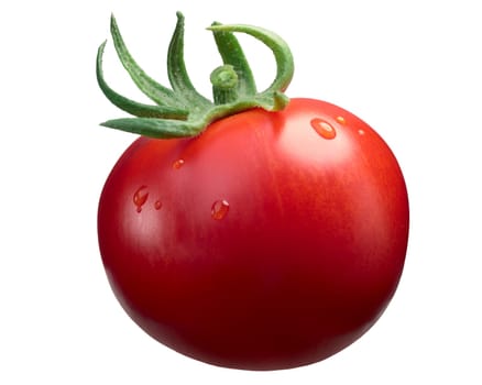 Marglobe tomato (Solanum lycopersicum), whole, ripe. Clipping path