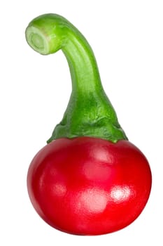 Kalocsai Alascony Hungarian Cherry pepper (Capsicum annuum var. cerasiforme)