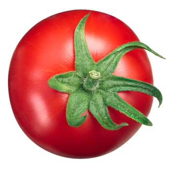 Whole globe tomato, top view, calyx up