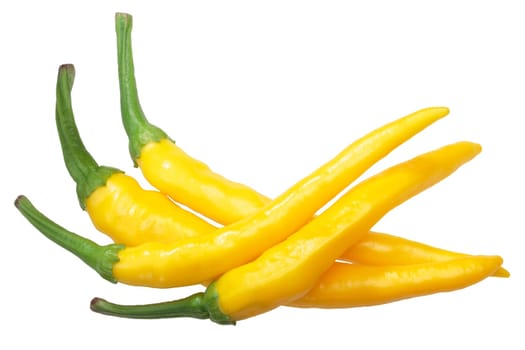 Macska sarga peppers (arbol type), whole ripe pods, top view