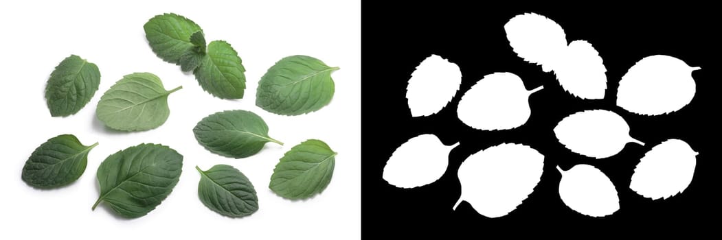 Peppermint or mint leaves (Mentha piperita), top view