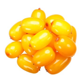 Pile of sea buckthorn berries (Hippophae rhamnoides fruits), top view