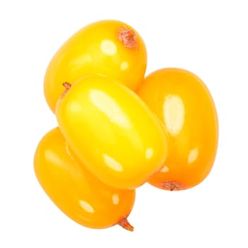 Four sea buckthorn berries (Hippophae rhamnoides fruits), top view