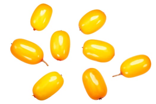Sea buckthorn berries (Hippophae rhamnoides fruits), top view