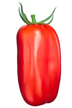 Scatolone tomato, a San Marzano type with sepal, fresh. Top view