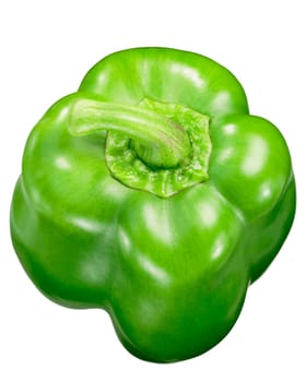 Yolo Wonder green sweet bell pepper (Capsicum annuum), an improved version of California Wonder, top view