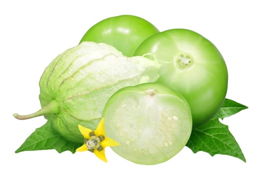 Tomatillo or Mexican husk tomato (Physalis philadelphica fruit) husked, with flower and leaves
