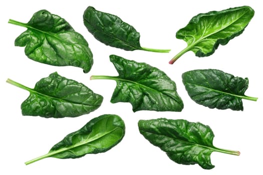 Spinach leaves, fresh (Spinacia oleracea), top view