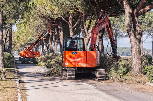 Bibione,Italy - March 08 2018 : Workers and machinery at tree pruning before the start of the tourist season.