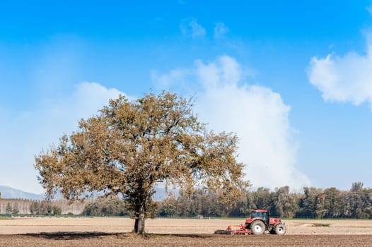 Agricultural landscape with a tree and tractor plowing the field with harrow.