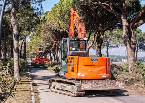Bibione,Italy - March 08 2018 : Workers and machinery at tree pruning before the start of the tourist season.
