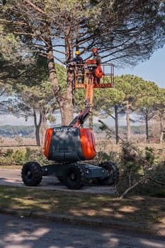 Bibione,Italy - March 08 2018 : Workers and machinery at tree pruning before the start of the tourist season.