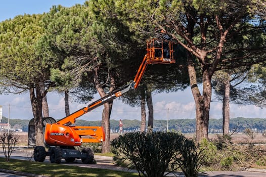 Bibione,Italy - March 08 2018 : Workers and machinery at tree pruning before the start of the tourist season.