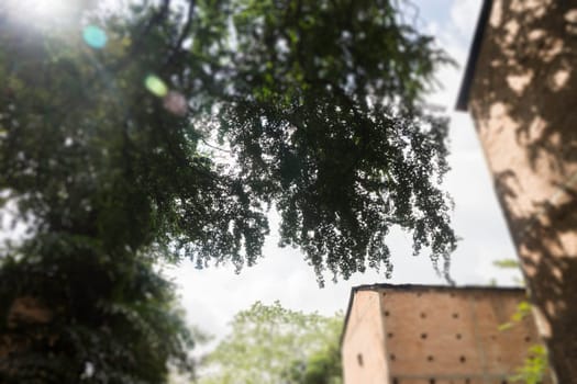 Old bricks barn in summer day, stock photo