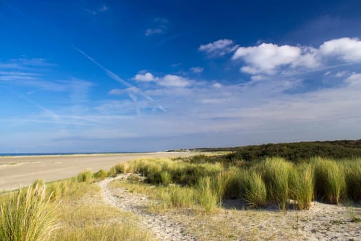 the dunes, Renesse, Zeeland, the Netherlands