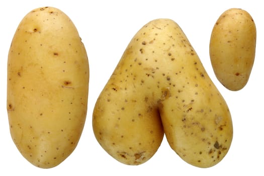 detail of the various potatoes - macro