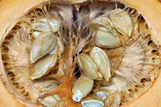 Detail of the cut pumpkin - pumpkin seeds
