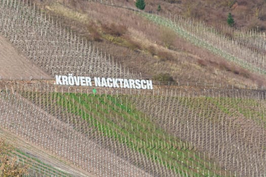 TRABEN-TRARBACH, GERMANY - MARCH 26, 2016:.Billboard in the vineyards with inscription Kröver Nacktarsch. German wine-growing region on the Moselle near Traben-Trarbach, Rhineland-Palatinate, Germany, Europe.