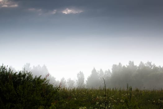 Beautiful landscape with mist. Summer beautiful idyllic landscape in Latvia. Meadow, wood and sky with mist. Rural landscape with mist on the coast of river Memele, Latvia.