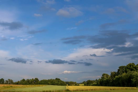 Summer landscape with meadow, wood and cloudy blue sky. Classic rural landscape in Latvia.