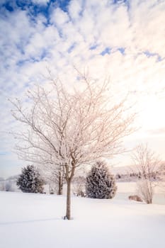 Beautiful winter morning on a small lake near Georgetown, Kentucky