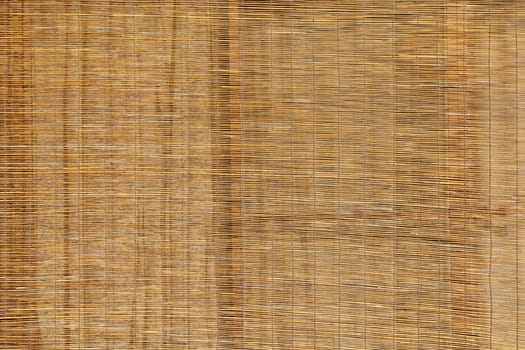Bamboo curtain for use as nature background