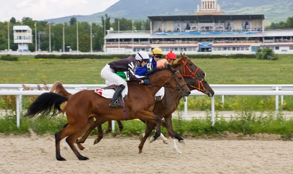 Start gates for horse races for the prize of Pyatigorsk,Northern Caucasus, Russia.