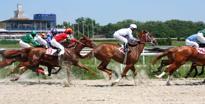 Horse race for the prize Caucasus,Russia.