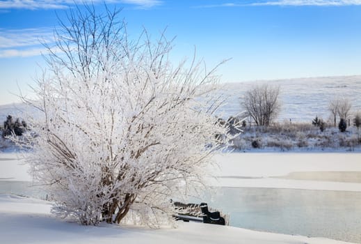 Beautiful winter morning on a small lake near Georgetown, Kentucky